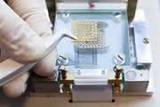 News: Biochip mit Thüringer Foschungspreis ausgezeichnet
