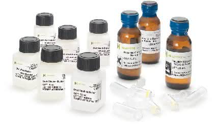 Schnellkit für Bisulfit-Umwandlung CpGenome Turbo: Schneller DNA-Methylierungskit