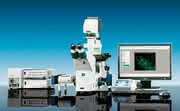 Mikroskopie: Carl Zeiss gewinnt  R&D Award für VivaTome