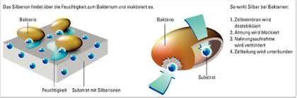 Mikroskopie und Bildauswertung: Ein Beitrag zur Laborhygiene: Mikroskopie und Bildauswertung: Ein Beitrag zur Laborhygiene: