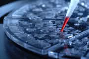 News: Workshop "Lab-on-a-Chip-Systeme"
