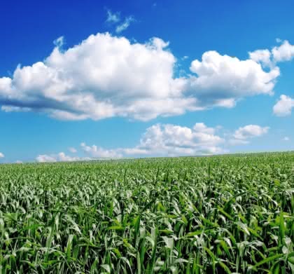 Wirtschaft + Unternehmen: Fachmesse: Cloud Computing in Karlsruhe