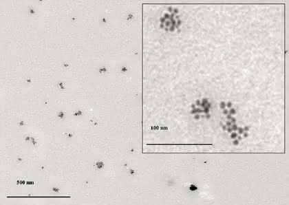 Chromatographie: Nanopartikel charakterisieren Chromatographie: Nanopartikel charakterisieren