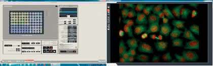High-Content-Screening-Automation: High-Content-Screening-Automation