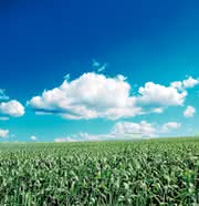 Software: Open Source PLM  in der Cloud