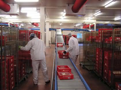 Wirtschaft + Unternehmen: Neue Auftragsabwicklung senkt Personalkosten um 20 Prozent Wirtschaft + Unternehmen: Neue Auftragsabwicklung senkt Personalkosten um 20 Prozent