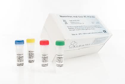 Life Sciences Innovations: Real-time-PCR  macht´s möglich