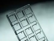 Micro-Array-Handling: NOC-PCR +  Echtzeitdetektion