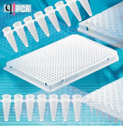 Weiße PCR-Produkte: Weiße PCR-Produkte