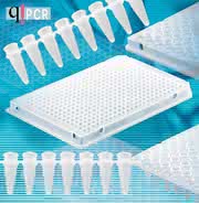 Weiße PCR-Produkte: Weiße PCR-Produkte