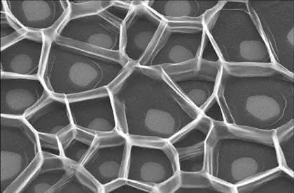 News: Nano Image Contest erfolgreich gestartet