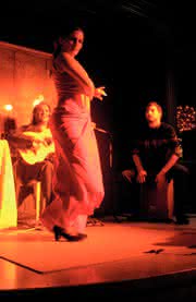 KI + Datenanalyse: Feuriger  Flamenco  und coole Technik
