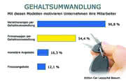 Werkstoffe: Dienstwagen statt Gehalt Werkstoffe: Dienstwagen statt Gehalt