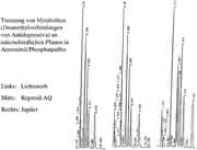 HPLC-Tipp: Der HPLC-Tipp