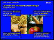 LS Forschung: Pflanzenbiotechnologie LS Forschung: Pflanzenbiotechnologie