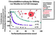 LS FB: Ultraschallanalyse LS FB: Ultraschallanalyse