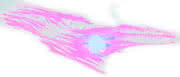 FB: Knochenarbeit in den Stammzell-Labors FB: Knochenarbeit in den Stammzell-Labors