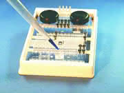 LS: Nimmt Formen an