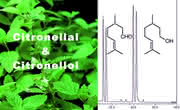 Chromatographie: Für Aromastoffe und Alkohole Chromatographie: Für Aromastoffe und Alkohole