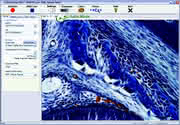 Mikroskopie or Software: Kamerasoftware mit Turbo-Mode Mikroskopie or Software: Kamerasoftware mit Turbo-Mode