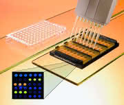 LS: Multiplex-Cytokin-Quantifizierung