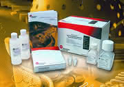 Life Sciences Innovations: IgG-Charakterisierung