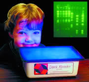 LS: Non-UV-Transilluminator LS: Non-UV-Transilluminator