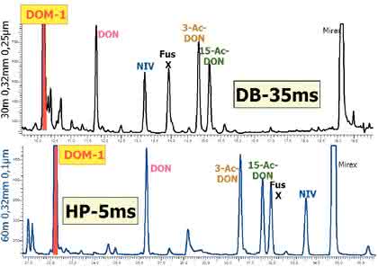 Mykotoxin-Reinigungssäulen: Isotopenmarkierte  interne Standards in der Mykotoxin-Analytik