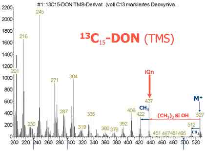 Mykotoxin-Reinigungssäulen: Isotopenmarkierte  interne Standards in der Mykotoxin-Analytik