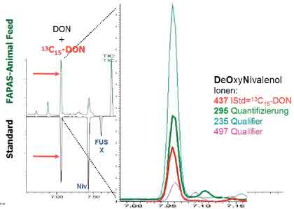 Mykotoxin-Reinigungssäulen: Isotopenmarkierte  interne Standards in der Mykotoxin-Analytik