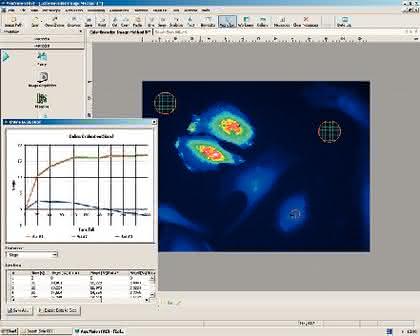 Software AxioVision FRET 4.6: Schnelle Auswertung von FRET Software AxioVision FRET 4.6: Schnelle Auswertung von FRET