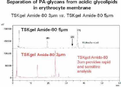 HILIC-Säulen TSK-GEL Amide-80: Neue Säulen für die hydrophile  Interaktionschromatographie
