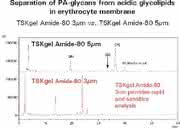 HILIC-Säulen TSK-GEL Amide-80: Neue Säulen für die hydrophile  Interaktionschromatographie