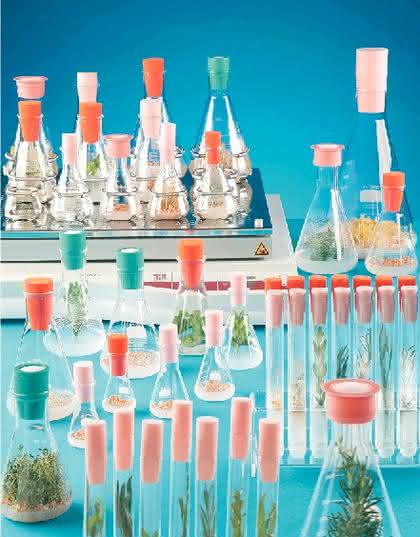 Sterilstopfen SILICOSEN/BIO-SILICO: HiClass-Sterilstopfen für Kulturen Sterilstopfen SILICOSEN/BIO-SILICO: HiClass-Sterilstopfen für Kulturen