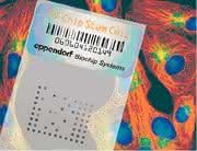 TF-Chip-Stem-Cell-Kit: Charakterisierung von Stammzellen