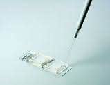 News: Erfolgreiche Validierung von Eppendorfs DualChip®  GMO microarray durch die EU