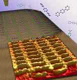 News: Evolution in der Nanowelt