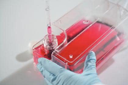 Einweg-Membran Bioreaktor CELLine: Effiziente Zellkultivierung…