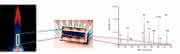 Applikationsnote "Analyse von geologischen Proben": Analyse von geologischen Proben mit ICP-OES 