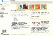 Internet-Schaufenster: Internet-Adresse des Monats