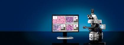 Pathologie-Produktfamilie MIRAX: Pathologie-Produktfamilie MIRAX
