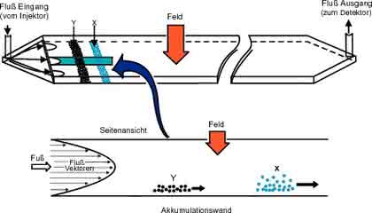 Fachbeitrag: Chitin als Rohstoff Fachbeitrag: Chitin als Rohstoff