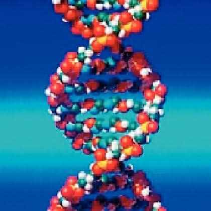 Fachbeitrag: „Mycoplasma  laboratorium“