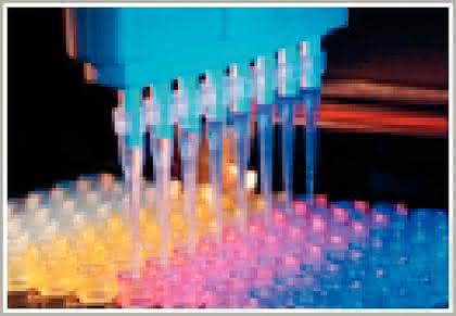 PTFE-Dichtungen: Dichtungslösungen PTFE-Dichtungen: Dichtungslösungen