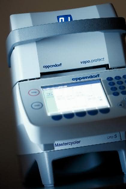 Mastercycler pro: Kissen verbessert PCR-Ergebnisse