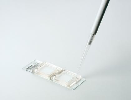 DualChip-GMO-Kit V2.0: GVO-Nachweis in  Futter- und Lebensmitteln