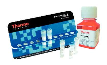 siRNA Dharmacon Accell: Neues Reagenz für Gensilencing