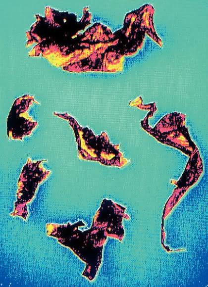 Scheibenzentrifugen: Partikelgrößenbestimmung im Sub-µm-Bereich