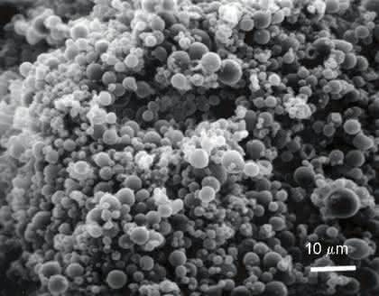 Bio-Cluster und Applikationen: Polymer-Mikrosphären in Impfstoffen Bio-Cluster und Applikationen: Polymer-Mikrosphären in Impfstoffen
