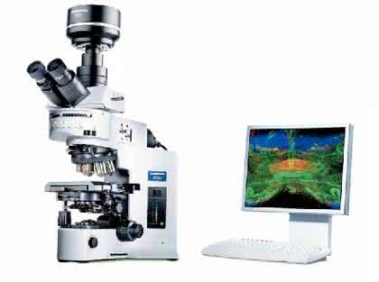 Imaging-Software cell: Software für Imaging-Systeme 